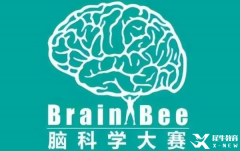 BrainBee腦科學(xué)競賽輔導(dǎo)|競賽時(shí)間/適合對(duì)象/參賽形式