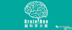 Brain Bee競賽如何報(bào)名？地區(qū)/全國/國際賽事都考什么？