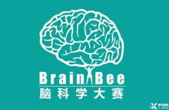 Brainbee腦科學(xué)競賽含金量高嗎？犀牛Brainbee競賽沖刺基礎(chǔ)班報名中~