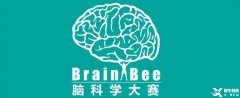 北上廣深牛娃都在參加的brainbee腦科學(xué)競賽是什么？普娃能參加嗎？