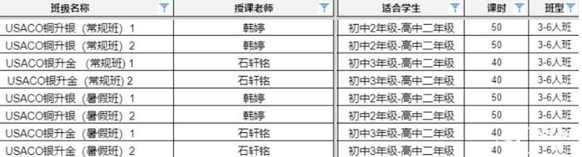 2024年USACO美國計算機競賽培訓(xùn)班