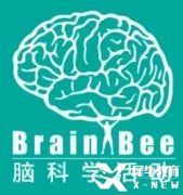 2024年Brain bee競(jìng)賽報(bào)名中！Brain bee競(jìng)賽輔導(dǎo)班介紹！