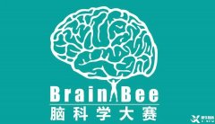 Brainbee腦科學大賽，零基礎居然也能參加的生物競賽！