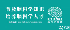 2025BrainBee腦科學(xué)大賽開始報名！BrainBee報名考試時間/報名方式/考試大綱奉上！